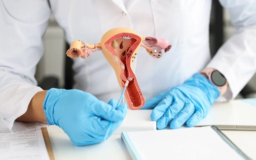 Jinekolojik Hastalıklar